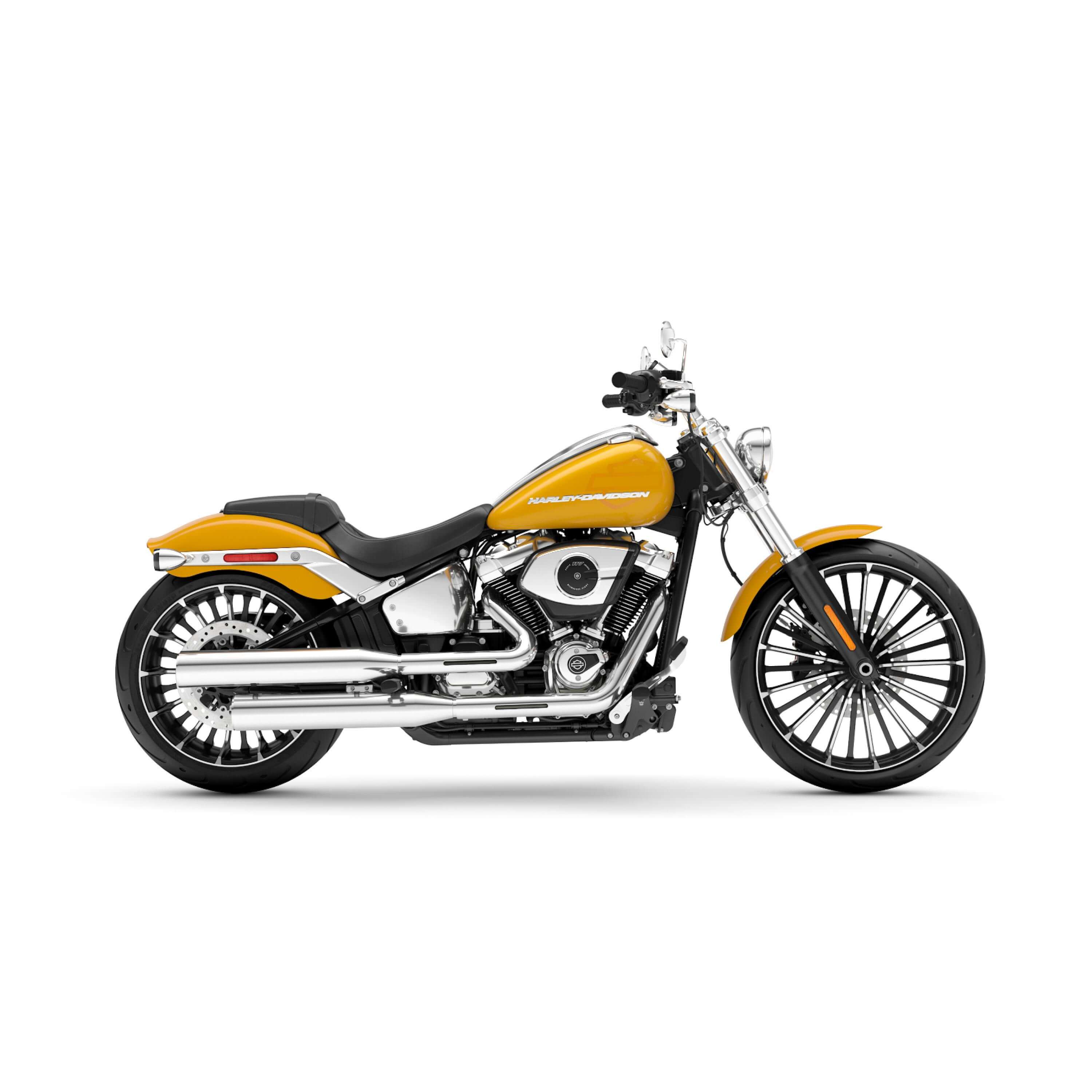 January Sweeps Bike